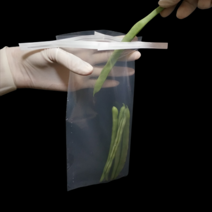 كيس أخذ العينات المعقمة القابل للتصرف مع الأسلاك مختبر معقم يمكن التخلص منه 400 مل كيس مرشح كامل أكياس أخذ العينات المعقمة 1