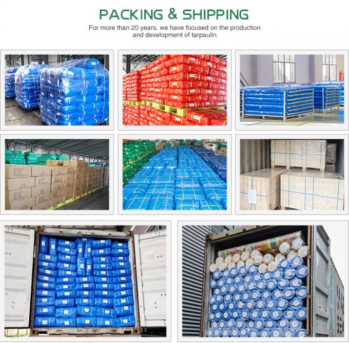 اللون الأزرق قماش قماش قماش قماش قماش قماش قماش قماش قماش قماش قماش قماش قماش قماش قماش قماش 6