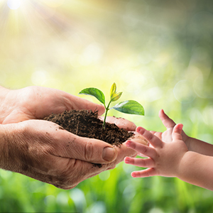 قفازات قابلة للتسميد بنسبة 100%، قفازات القمح والذرة، قفازات إعادة استخدام في خدمة الأغذية، قفازات الطبخ، صديقة للبيئة 3