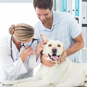 القفازات المستخدمة لمرة واحدة في الميدان التلقيح البيطري المستقيم القفازات الطويلة ، الأكمام الطويلة للغاية القفازات الكاملة 2