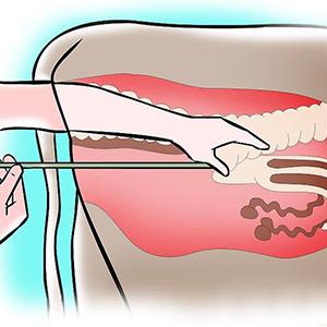 القفازات المستخدمة لمرة واحدة في الميدان التلقيح البيطري المستقيم القفازات الطويلة ، الأكمام الطويلة للغاية القفازات الكاملة 4