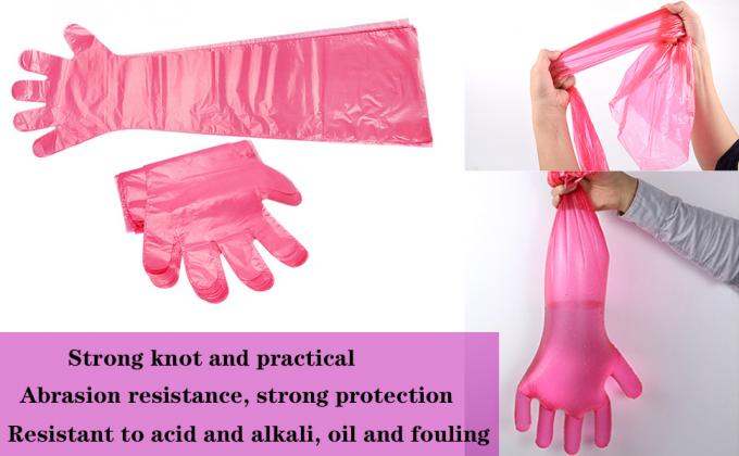 القفازات المستخدمة لمرة واحدة في الميدان التلقيح البيطري المستقيم القفازات الطويلة ، الأكمام الطويلة للغاية القفازات الكاملة 5