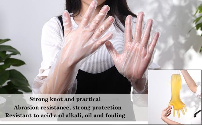 القفازات المستخدمة لمرة واحدة في الميدان التلقيح البيطري المستقيم القفازات الطويلة ، الأكمام الطويلة للغاية القفازات الكاملة 11
