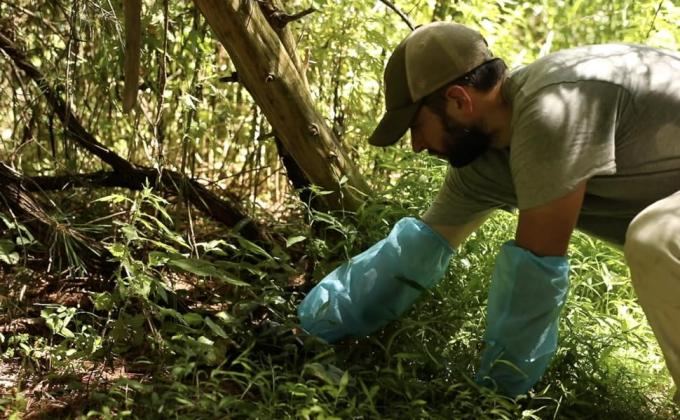 واقي اليد غير المنسوج مغلقات مرنة ذراع متينة قطعة يدية مقاومة للماء غطاء أكمام ميكروبوروس مرة واحدة 1