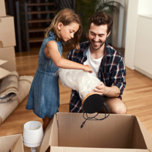 حلقات الفقاعات 24 واسعة × 175 قدم فقاعات صغيرة 3/16 مثقبة كل 12، واضحة مثقبة الفقاعات غلاف الوسادة 2