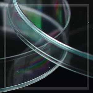 culture dishes kids petri dish petri dish for microscope caja petri vidrio pee tree dish petri dish