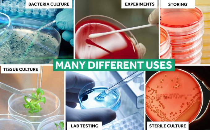 petree dish petri dish 90mm petri dish with lids metal petri dish petri dish  peachtree dish