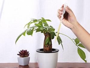 أنابيب البلاستيك المستخدمة مرة واحدة، ومقطرات واضحة للزيوت الأساسية، اختبار المياه، المختبر، الفن DIY 8