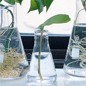 زجاجة إيرلينماير ذات الفم الضيق مع غطاء المطاط زجاجة زجاجية 5 قطع مجموعة، إيرلينماير ذات الفم الضيق، بوروسيليكات 4