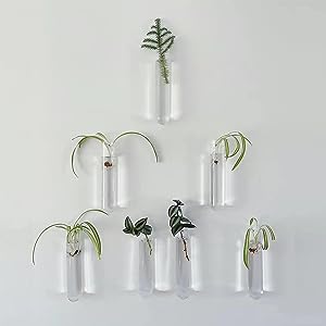 أنابيب الاختبار، 50 مل - بوروسيليكات 3.3 زجاج - 1.2 ملم جدران سميكة، حافة حبة - درجة عالية من الحرارة والمتانة الكيميائية 6