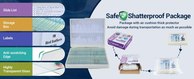 شرائح المجهر مع عينات للأطفال، شرائح المجهر المعدة النباتات الحيوانات الحشرات، شرائح المجهر 4