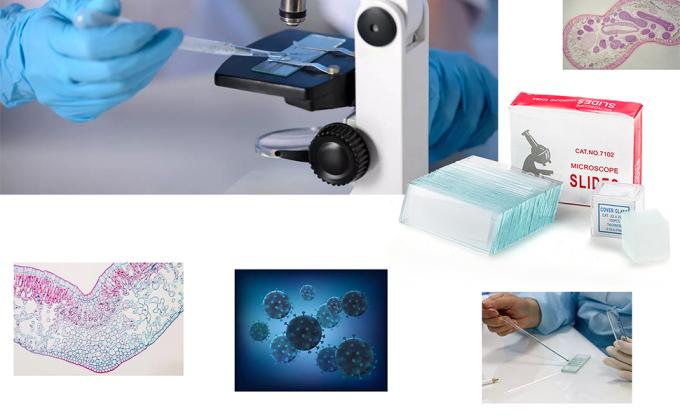 شرائح المجهر والغلافات، شرائح الزجاج الفارغة لمجموعة المجهر - 300 شريحة، 300 غلاف، للمجهر 6