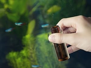 علبة من 100 قنينة زجاجية مع غطاء مسدس فينوليك أسود (4 مل، واضح) 3