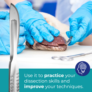 مجموعة تشريح متقدمة - 37 قطعة إجمالاً أدوات من الفولاذ المقاوم للصدأ عالية الجودة مثالية للشرح والبيولوجيا والنباتات 2