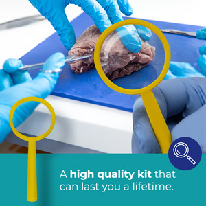 مجموعة تشريح متقدمة - 37 قطعة إجمالاً أدوات من الفولاذ المقاوم للصدأ عالية الجودة مثالية للشرح والبيولوجيا والنباتات 4