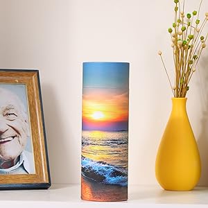 إمدادات الدفن الورق المقوى قابلة للتحلل الحيوي تابوت الحيوانات صناديق تشتت القفص الأوراق أنبوب الحرق الرماد الحيوانات الأليفة تشتت الحوض 7