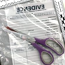 حقائب الأدلة للشرطة، حقائب الأدلة للسلامة العامة، حاوية أدلة مسرح الجريمة، 6 "&times; 8"، 100 حزمة 4