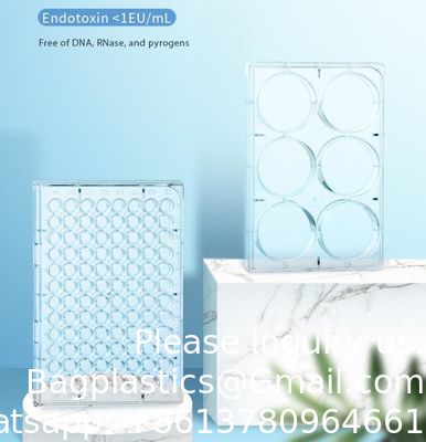 جودة  Plastic Sterile 4 6 12 24 48 96 384 Wells Tissue Culture Plate Cell Culture Plate For Lab Free Sample Free Shipping مصنع