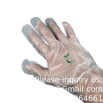 جودة  100% Compostable Gloves, Cornstarchgloves, Food Service Disposable Gloves, Food Prep Cooking Gloves, Eco-Friendly مصنع