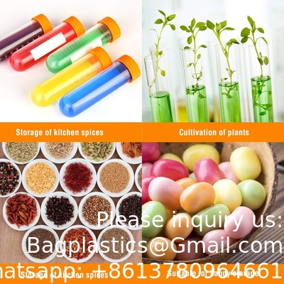 SCIENCE LAB العلوم الابتدائية أنابيب الاختبار الكبيرة مع الوقوف، مجموعة من 10 أنابيب، الأدوات البلاستيكية المختبرية، أنابيب المختبر للاختبار