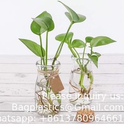زجاجات الزجاج الشفافة الزجاجات الزجاجية المفضلة الزجاجات الزجاجات 100 مل زجاجات مع أغطية زجاجية، زجاجات صغيرة