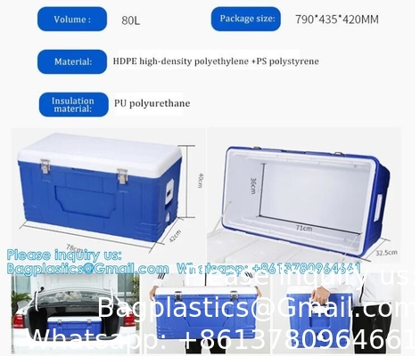 نقل الأعضاء الطبية المخصصة المتنقلة المبردة النبيذ البيرة الرغوة الستايروفوم الثلج الصدر الكيس الحراري الغذاء الكبيرة مربع المبرد